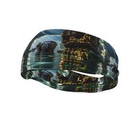 Asian Elephant In The Water Pattern Sports Sweatband Headscarf Head Bands For Women Men Suitable For Running Yoga Fitness Football