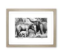 Asian Elephants By John Karst Vintage Framed Wall Art Print, Ready to Hang Picture for Living Room Bedroom Home Office Décor, Oak A4 (34 x 25 cm)