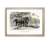Asian Elephants by Oliver Goldsmith Framed Print | A2 Oak Framed Wall Art | Ready to Hang | Asian Animal Picture | Living Room Bedroom Lounge Office
