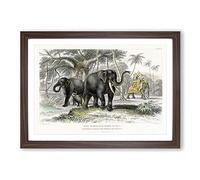Asian Elephants by Oliver Goldsmith Framed Print | A2 Walnut Framed Wall Art | Ready to Hang | Asian Animal Picture | Living Room Bedroom Lounge Office