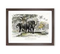 Asian Elephants By Oliver Goldsmith Vintage Framed Wall Art Print, Ready to Hang Picture for Living Room Bedroom Home Office Décor, Walnut A2 (64 x 46 cm)