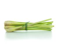 Asian Lemongrass fresh 100g