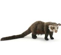 Asian Palm Civet Plush Soft Toy by Hansa 5581