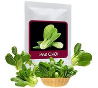 Asian Salad Pak Choy 100 seeds (Brassica rapa) - the perfect vegetable for Asian cuisine