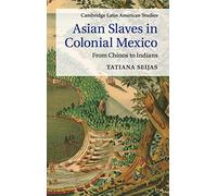 Asian Slaves in Colonial Mexico: From Chinos to Indians: 100 (Cambridge Latin American Studies, Series Number 100)