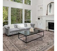 Asiatic Sovereign Medallion Rug Ash