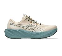 ASICS GT-2000 15 TR 46 Beige Men