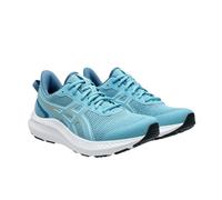 Asics Mens Jolt 5 Shoes GT23495