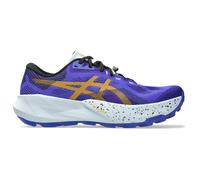 Asics Gel-trabuco 14 Trail Running Shoes Blue,Purple EU 45 Men