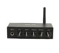 Asixxsix 6.5mm Karaoke Mixer System, Karaoke Sound Mixer with Dual Mic Inputs Portable Digital Reverberator for DJ Music Stage KTV Home Theater Party