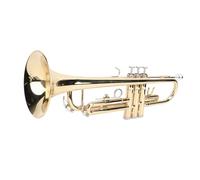 Asixxsix Bb Cornet, Brass Cornet Kit with Carrying Case, Gloves, Cleaning Cloth and Brushes, Musical Instrument for Beginners Professionals Practice and Performance