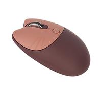 Asixxsix Cute Cat Wireless Mouse, 2.4GHz Silent Mouse with USB Receiver Plug and Play, 3 Adjustable DPI Levels Ergonomic Design for Women Kids, Compatible with Laptop PC Computer (Coffee)