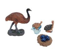 Asixxsix Growth Cycle Toy, Realistic Animal Model for Cognitive Development, Educational Learning Tool with Life Cycle Features for Kids Kindergarten School