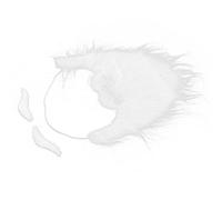 Asixxsix Halloween Santa Claus White Long Beard Set with Elastic Band and Self-Adhesive Design, for Friends Reunion Party Quantity