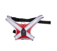 Asixxsix Light Up Dog Harness, LED Illuminated Dog Harness Vest with 8 Lighting Modes Built In Leash Ring Up to 130kg, USB Rechargeable Adjustable Lightweight for Night Walking (Red)
