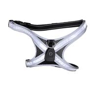 Asixxsix Light Up Dog Harness, LED Illuminated Dog Harness Vest with 8 Lighting Modes Built In Leash Ring Up to 130kg, USB Rechargeable Adjustable Lightweight for Night Walking (Black)