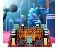 Asixxsix TPA3116D2 Mono 150W Digital Power Amplifier Board, 12-26V Single Channel Digital Amplifier Board, Multi, Over Under Voltage Overheating Short Circuit DC Detection