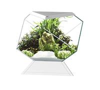 Askoll 280669 nexus 5c betta life white