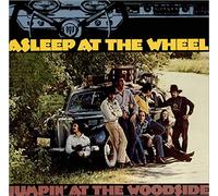 Asleep At The Wheel - Jumpin' At The Woodside