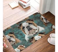 ASLKXOPEMG Door Mat Dirt Trapper Entrance Mat 40cm X 60cm Non-Slip Welcome Mats Funny English Bulldog DoorMat Machine Washable Door Mat Indoor Outdoor Floor Mat for Garage Patio Porch Farmhouse