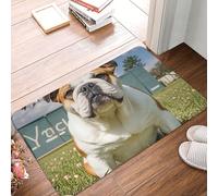ASLKXOPEMG Door Mat Dirt Trapper Entrance Mat 40cm X 60cm Non-Slip Welcome Mats Funny English Bulldog DoorMat Machine Washable Door Mat Indoor Outdoor Floor Mat for Garage Patio Porch Farmhouse