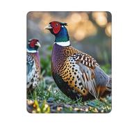 ASLKXOPEMG Mouses Pad Pheasants Animals Mouses Mat Non-slip Gaming Desk Pad with Rubber Base Washable Office Decor Keyboard Mat for Gaming Work Computer