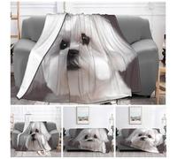 ASLKXOPEMG Ultra-Soft Micro Fleece Blanket Lovely Maltese Dog Throw Blanket Soft Plush Throw for Living Room warm Lightweight Blankets Cozy Decorative Throws for Sofa Couch 40"x30"