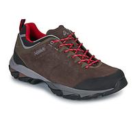 Asolo Walking Boots ACADIA LTH GTX in Brown 9
