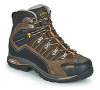 Asolo Walking Boots DRIFTER I GV EVP in Brown 8