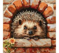 ASONGLINGO DIY Latch Hook Kits Pillow with Printed Canvas Handmade Cushion Crochet Yarn Hook and Latch Kit Pillowcase Decoration 43x43cm(Animal Hedgehog)