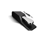 ASP-2 Universal Piano Style Sustain Pedal