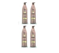 ASP Kitoko Oil Treatment Cleanser 1000ml Pack of 4