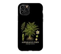 Asparagus Fern Asparagus Setaceus Botanical Plant Study Case for iPhone 11 Pro