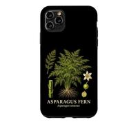 Asparagus Fern Asparagus Setaceus Botanical Plant Study Case for iPhone 11 Pro Max