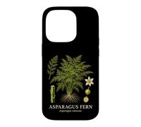 Asparagus Fern Asparagus Setaceus Botanical Plant Study Case for iPhone 14 Pro