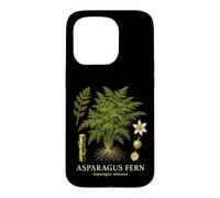 Asparagus Fern Asparagus Setaceus Botanical Plant Study Case for iPhone 15 Pro