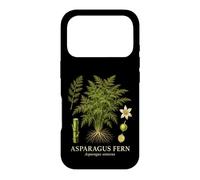 Asparagus Fern Asparagus Setaceus Botanical Plant Study Case for iPhone 17 Pro