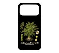 Asparagus Fern Asparagus Setaceus Botanical Plant Study Case for iPhone 17 Pro Max