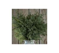 Asparagus Fern Bunch Lush Green Faux Plant For Decor Retail