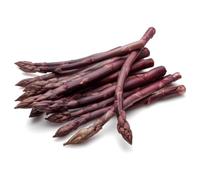 Asparagus Plants, 'Burgundine', 1 x Full Plant in a 2 Litre Pot, Vegetable Plants, Garden Ready and Ready to Plant, Premium Quality Vegetables