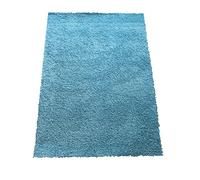 ASPECT Cosy Plush Soft Shaggy Rug, Polypropylene, Teal, 120x170cm