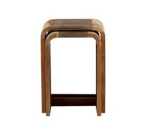 Aspen Nest of 2 Tables - Metal/Wood - L35 x W40 x H55 cm Indian Hub Brown One Size
