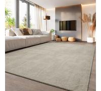 Aspire Homeware Modern Rugs Living Room 100% Polyester Rug for Bedroom Kids Room Soft Fluffy 600 GSM Anti Slip Backing Thick Pile Durable Carpet Non-Shedding Rug for Nursery Room Beige, 160x230 cm
