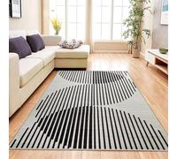 Aspire Homeware Rugs for Living room Bedroom Entryway Doormat 60x110 cm - Easy to Clean Soft Bedside Rug - Anti-Slip Backing Short Pile Black and White Rugs (Jett)