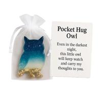 ASPUIC Pocket Hug Owl,Handmade Shell Pocket Hug,Pocket Hug Gift for Women,Friendship Gifts,Keepsake Gifts Token for Friends,Hug in a Pocket Soothing Shells Ocean and Sand Design(Owl)