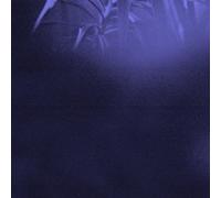 Asra - Nocturnal Journey