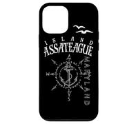 Assateague Island Compass Wind Rose Sailing Boat MD Case for iPhone 12 mini