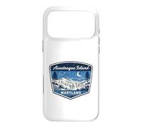 Assateague Island Maryland Wild Horses Lighthouse Nature Case for iPhone 17 Pro Max