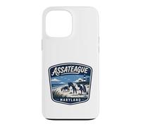 Assateague Wild Horses Beach Lighthouse Maryland Nature Case for iPhone 13 Pro Max