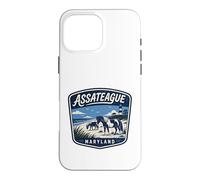 Assateague Wild Horses Beach Lighthouse Maryland Nature Case for iPhone 16 Pro Max